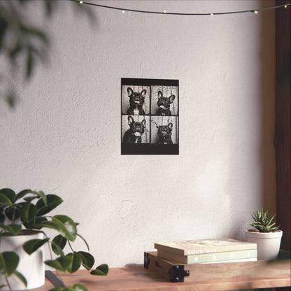French Bulldog Poster