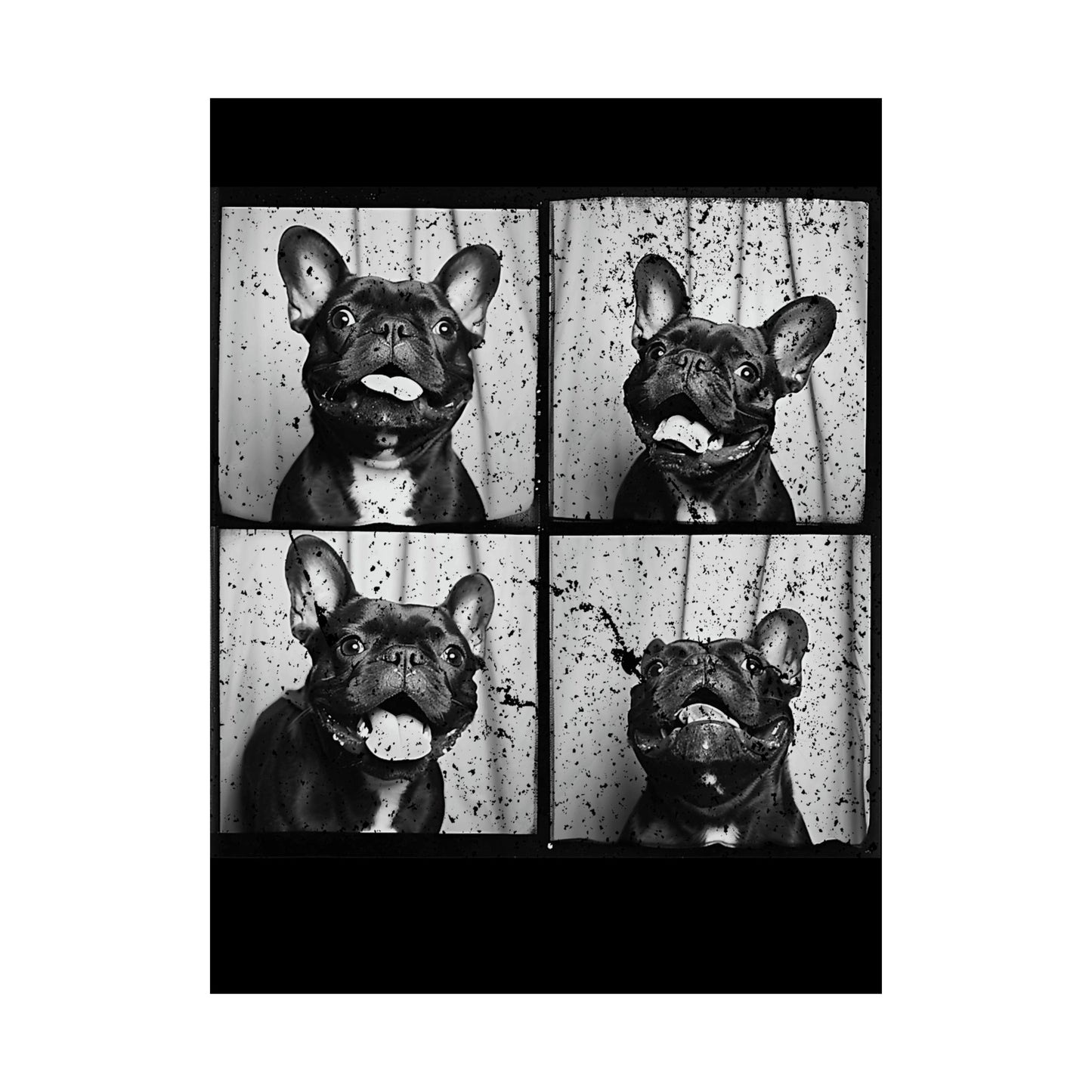 French Bulldog Poster